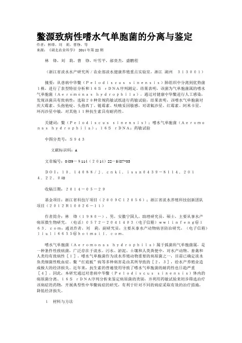鳖源致病性嗜水气单胞菌的分离与鉴定