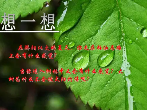 植物的蒸腾作用