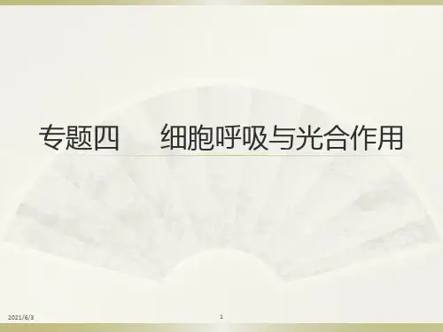 细胞呼吸与光合作用专题(二轮复习)PPT优秀课件