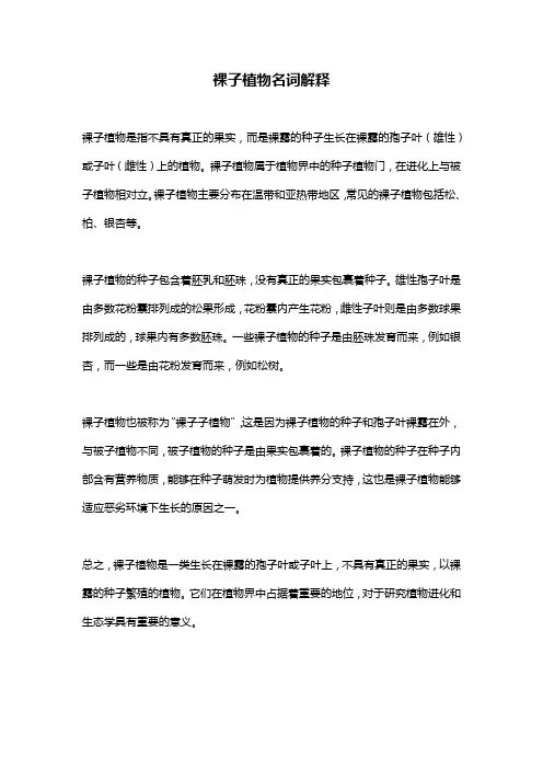 裸子植物名词解释