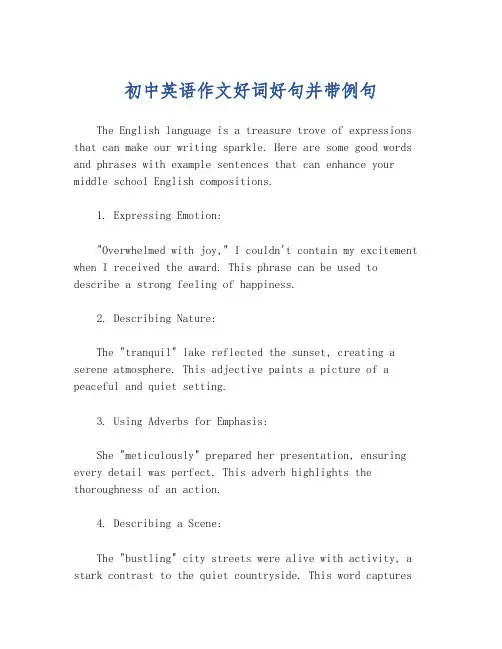 初中英语作文好词好句并带例句