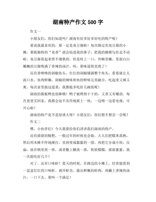 湖南特产作文500字