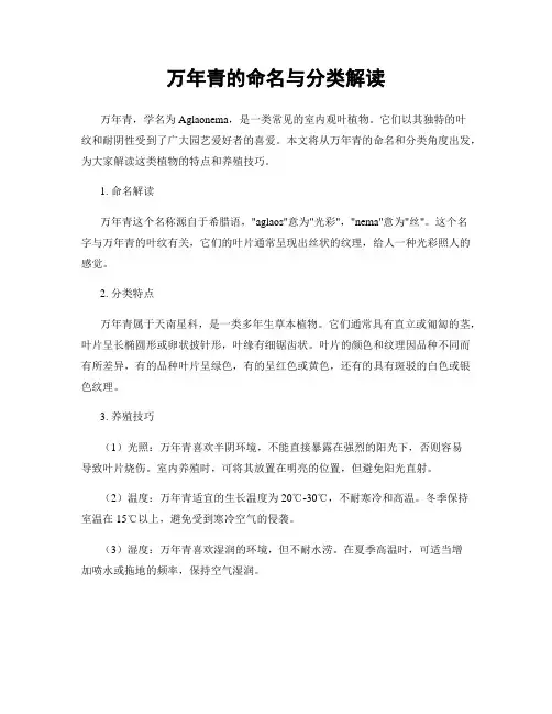 万年青的命名与分类解读