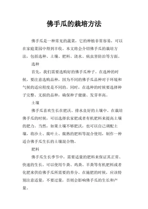 佛手瓜的栽培方法