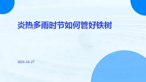 炎热多雨时节如何管好铁树