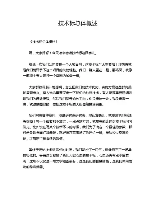 技术标总体概述