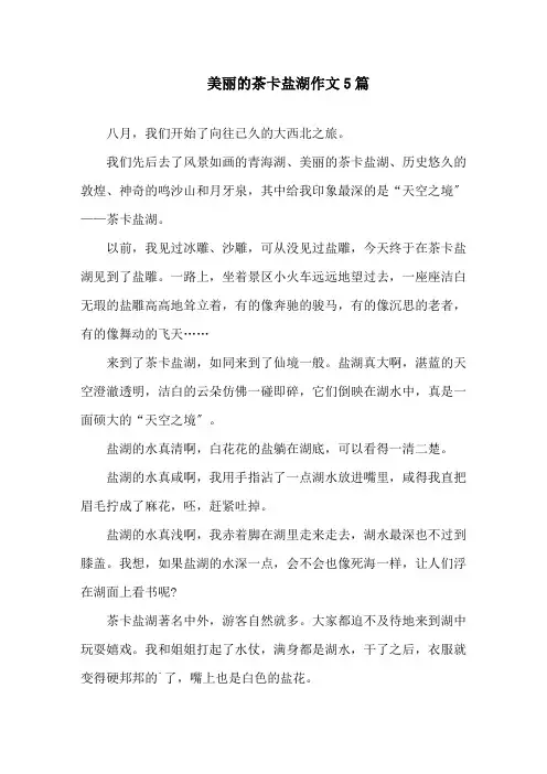 中小学美丽的茶卡盐湖作文