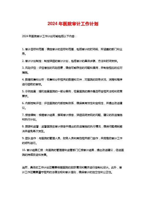 2024年医院审计工作计划