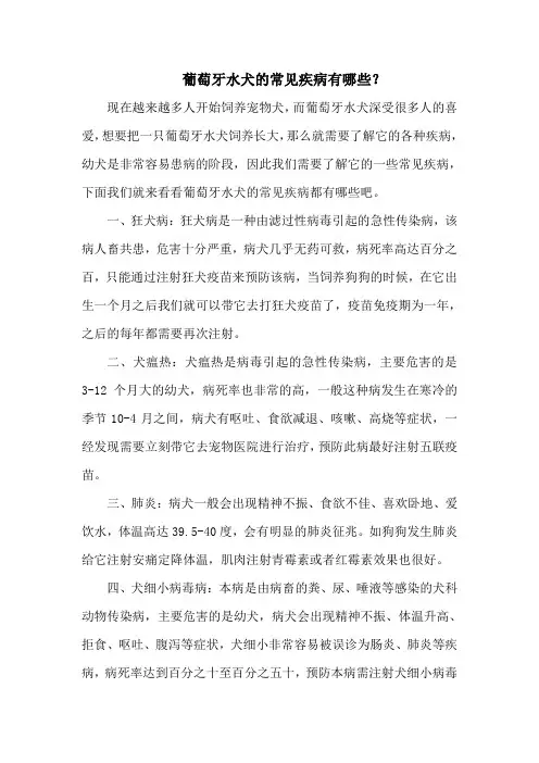 葡萄牙水犬的常见疾病有哪些？
