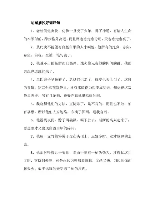 呐喊摘抄好词好句