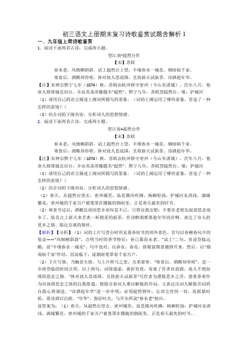 初三语文上册期末复习诗歌鉴赏试题含解析1
