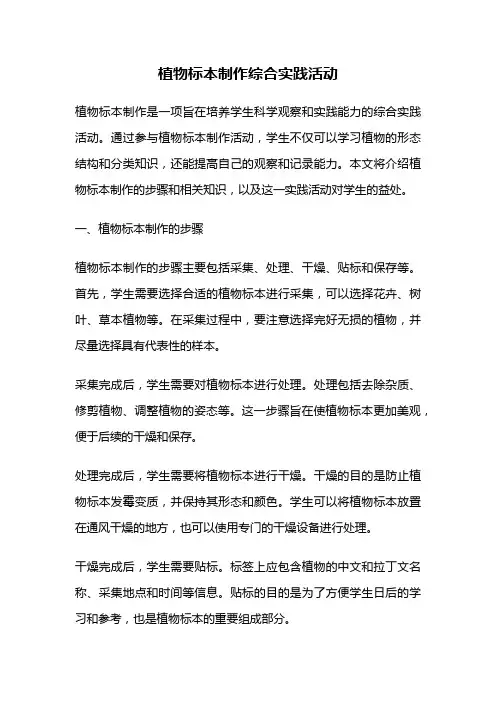 植物标本制作综合实践活动