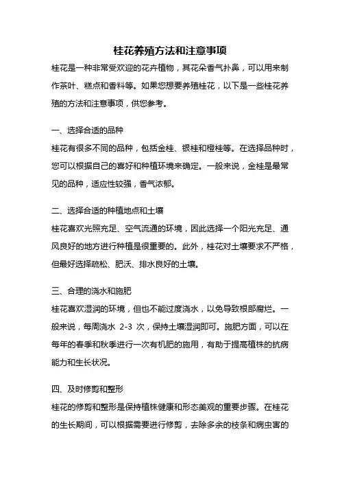 桂花养殖方法和注意事项