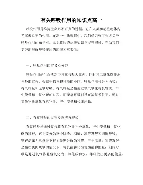 有关呼吸作用的知识点高一