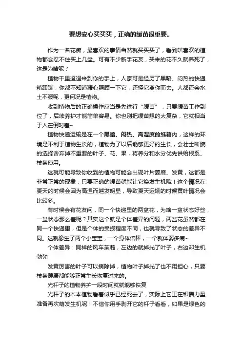要想安心买买买，正确的缓苗很重要。