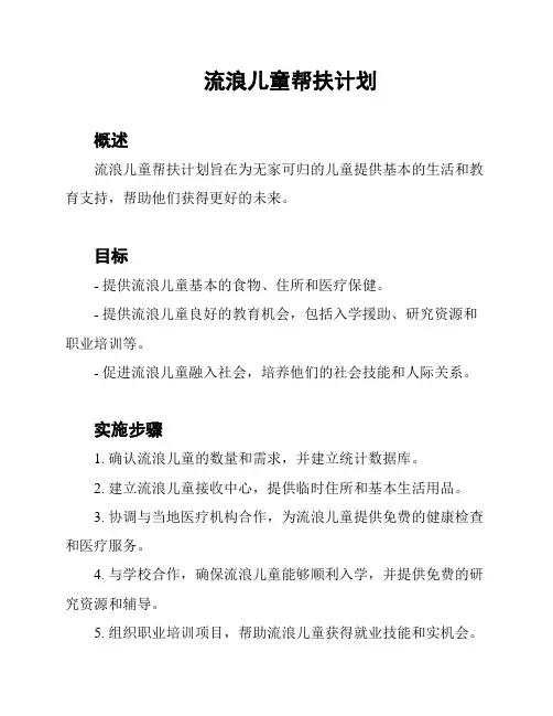 流浪儿童帮扶计划