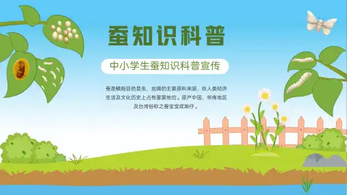 中小学生蚕知识科普家蚕生活史养蚕PPT