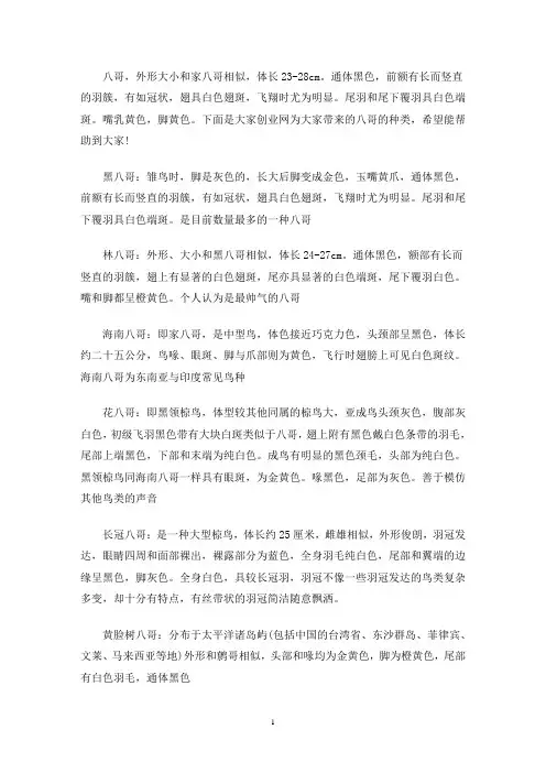 八哥的种类(最新)