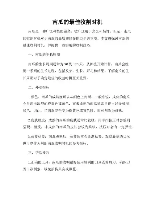 南瓜的最佳收割时机