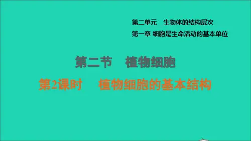 七年级生物上册第二单元生物体的结构层次第一章细胞是生命活动的基本单位第2节植物细胞第2课时植物细胞的