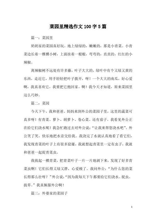 菜园里精选作文100字5篇
