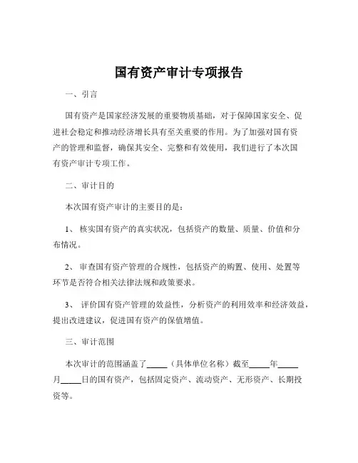 国有资产审计专项报告