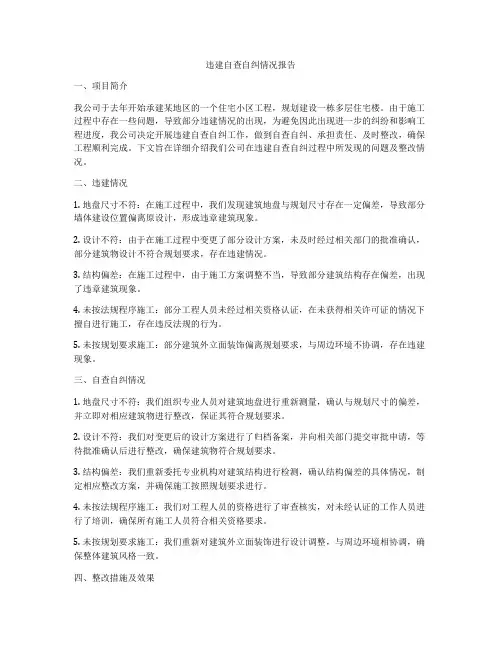 违建自查自纠情况报告