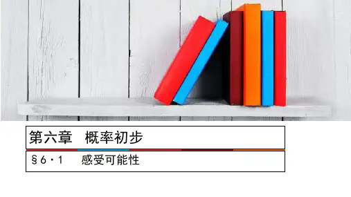 感受可能性PPT课件