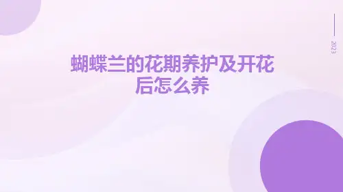 蝴蝶兰的花期养护及开花后怎么养