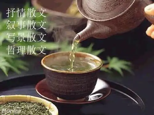 《荷塘月色》公开课图文并茂ppt课件