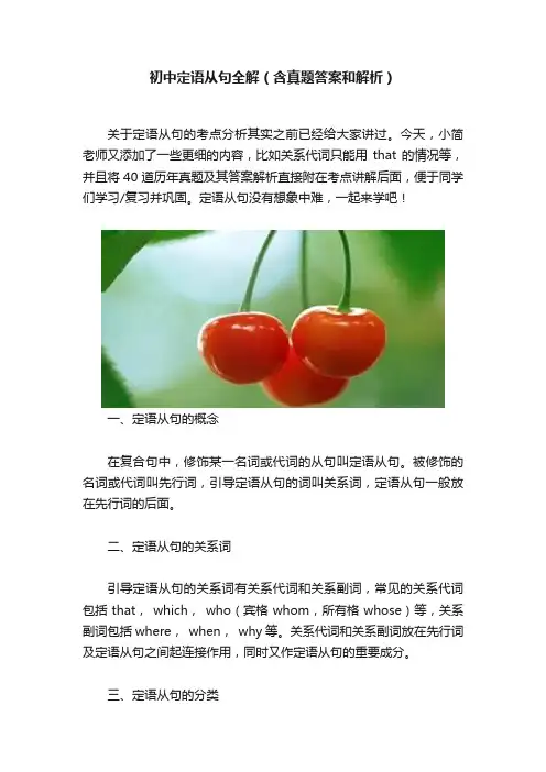 初中定语从句全解（含真题答案和解析）