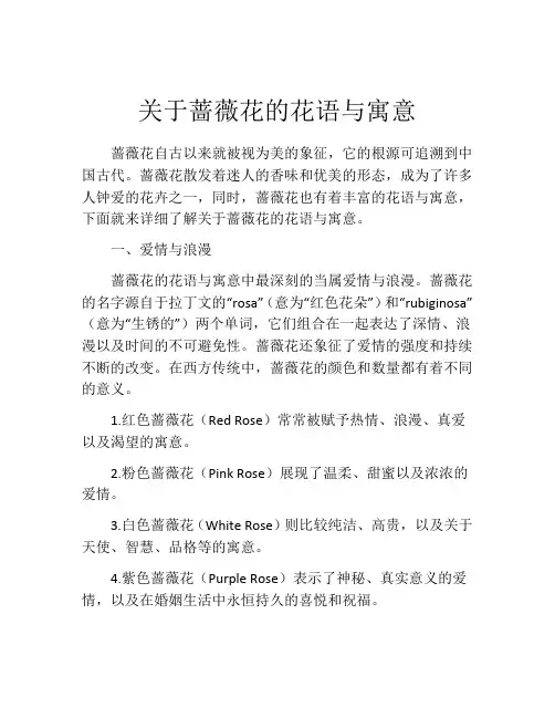 关于蔷薇花的花语与寓意