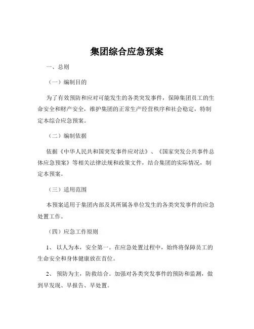 集团综合应急预案