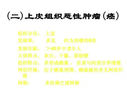病理解剖学 肿瘤五