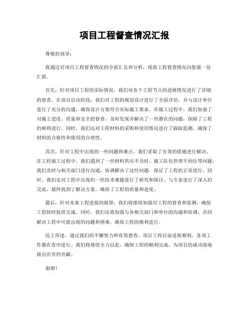 项目工程督查情况汇报