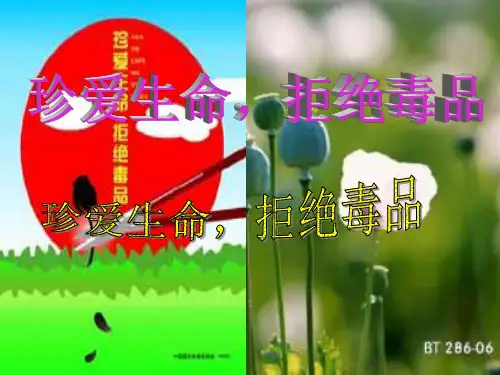珍爱生命   拒绝毒品说课稿1