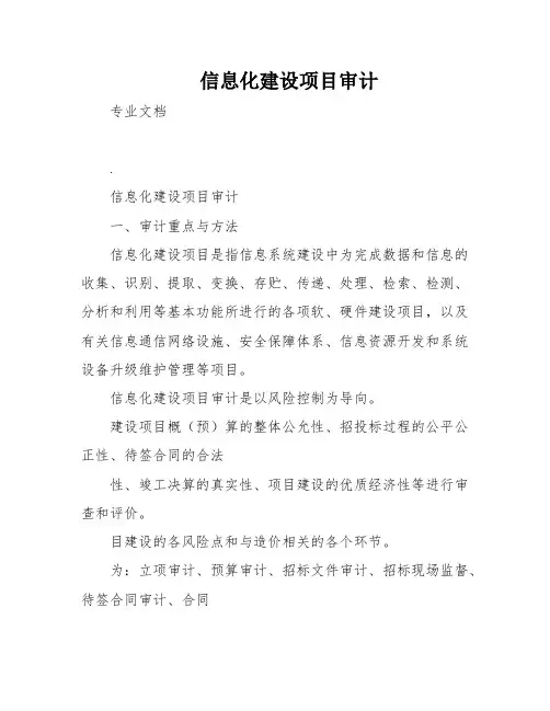 信息化建设项目审计