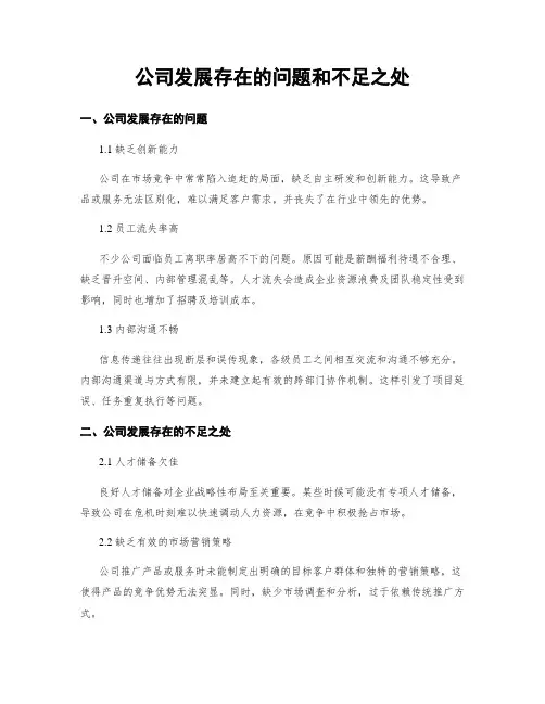 公司发展存在的问题和不足之处