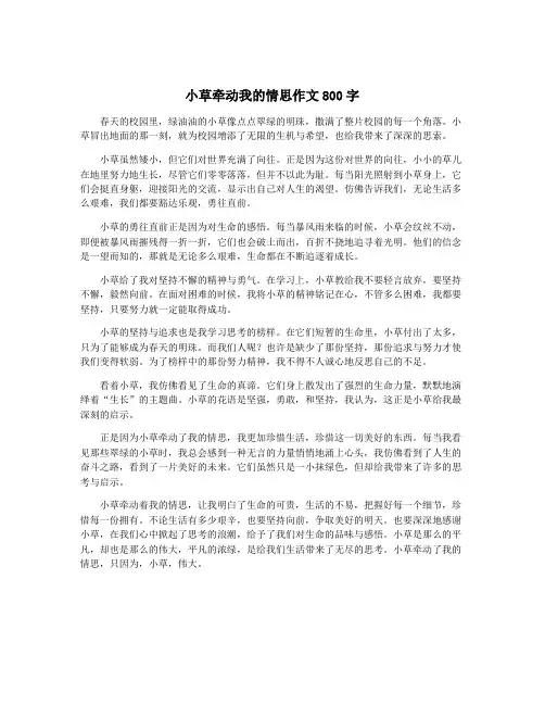 小草牵动我的情思作文800字
