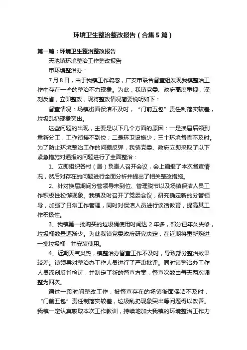 环境卫生整治整改报告（合集5篇）