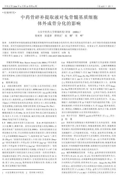 中药骨碎补提取液对兔骨髓基质细胞体外成骨分化的影响