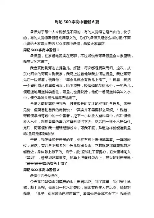 周记500字高中暑假6篇