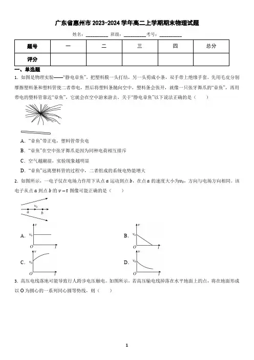 广东省惠州市2023-2024学年高二上学期期末物理试题(含答案)