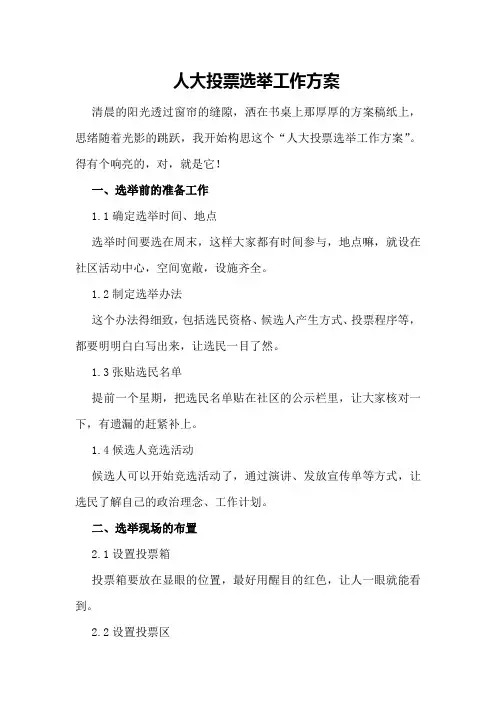 人大投票选举工作方案