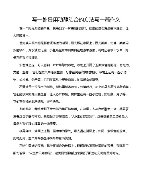 写一处景用动静结合的方法写一篇作文