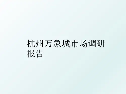 杭州万象城市场调研报告
