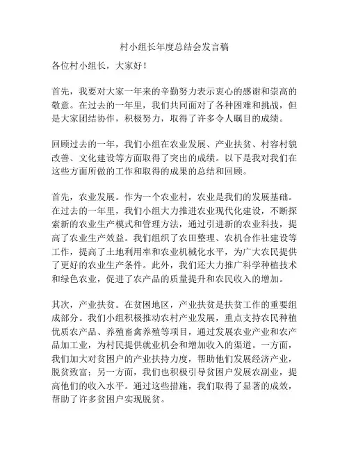 村小组长年度总结会发言稿