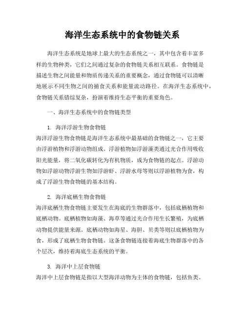 海洋生态系统中的食物链关系