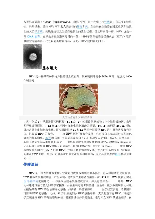 HPV简介