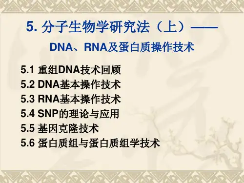 5.DNA、RNA及蛋白质操作技术